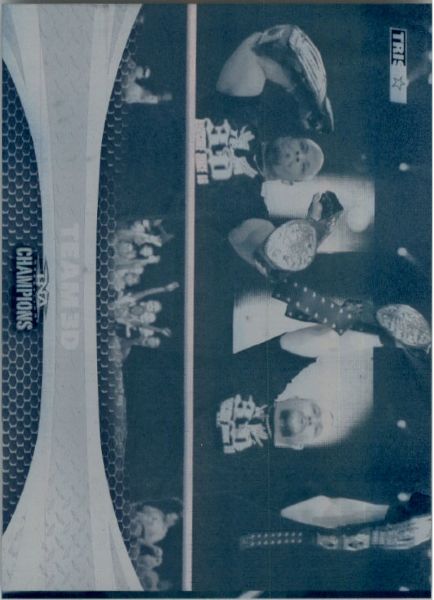 2009 TriStar TNA WWE Impact TEAM 3D #79 Printing Press Plate 1/1