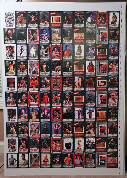 2008 TriStar TNA Impact UNCUT Sheet *ANGELINA LOVE * ANGLE * SKY * RAYNE * STING