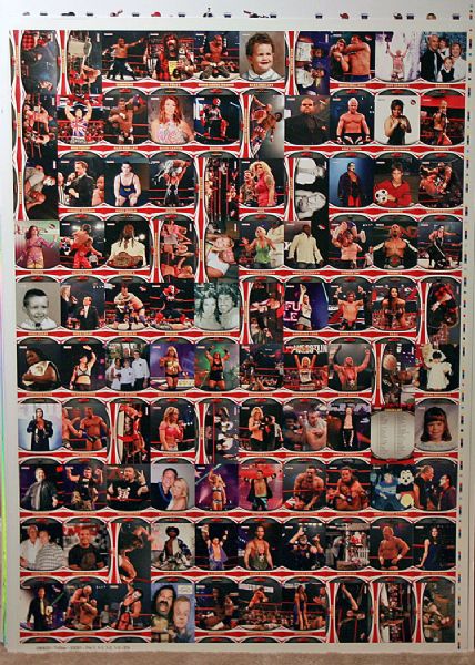 2009 TriStar TNA Impact UNCUT Sheet *ANGELINA LOVE * ANGLE * SKY * RAYNE * STING