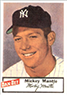 MICKEY MANTLE 1954 Dan-Dee Potato Chips Card Reprints YANKEES